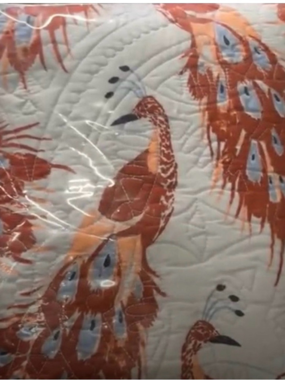 Opalhouse Bird Print Quilt - Orange and Blue peacock twin xl multiple available
